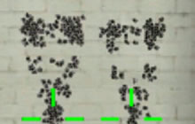 CF手游无影是否被强化 精度和弹道都有改善吗