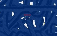 贪吃蛇大作战排位赛合作技巧 分工明确互相配合