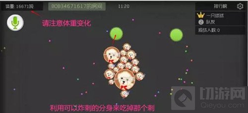 球球大作战16分身扎刺技巧 助你快速发育变大