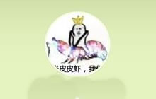 球球大作战6.2.1版本可以上传动漫图为头像吗