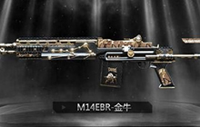 CF手游M14EBR金牛座属性介绍 实战伤害测试