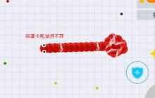 贪吃蛇大作战延迟高怎么办 200延迟怎么解决