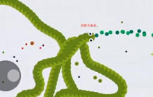 贪吃蛇大作战无尽模式实战 想霸屏是种信念