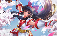 王者荣耀2017KPL春季赛什么英雄上场次数多