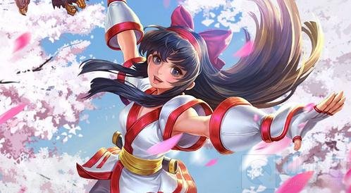 王者荣耀2017KPL春季赛什么英雄上场次数多