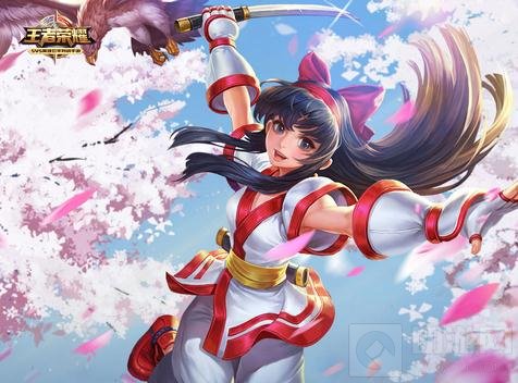 王者荣耀KPL热门英雄盘点 三大热门没有李白