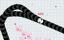 贪吃蛇大作战团战不显示皮肤是怎么回事解析