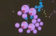 球球大作战生存模式别装 不然你也会这样的