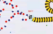 贪吃蛇大作战大神视频 自由模式高手怎么玩