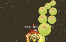 球球大作战生存王疯子 教你多分身怎么吃球