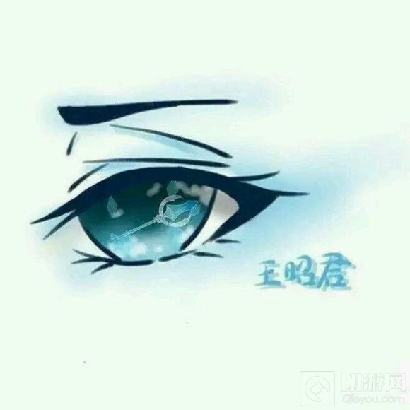 王者荣耀英雄眼睛图片汇总 好看的眼睛分享