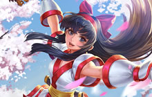 王者荣耀为什么刺客不出肉就不能玩 英雄定位