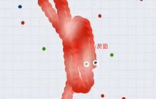 贪吃蛇大作战小贤菌顺利进阶白金2 顺风顺水