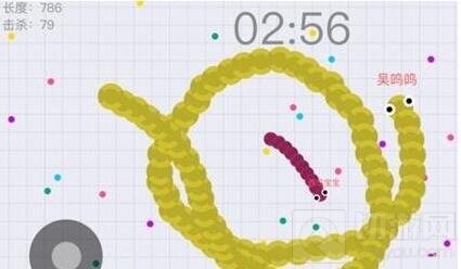 贪吃蛇大作战掌握时机地反杀操作技巧详解