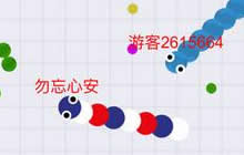 贪吃蛇大作战怎么快速成长 快速成长心得分享