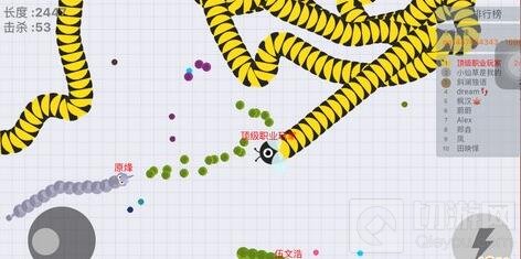 贪吃蛇大作战极端玩法分享 诱敌深入适时反杀