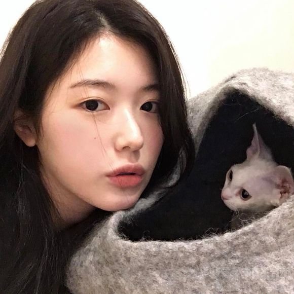 球球大作战女生必定过审的头像 小清新又有气质