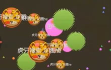 球球大作战制杖零解说 远离是非之地硬道理