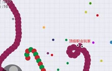 贪吃蛇大作战误区解析 避开误区稳定得高分