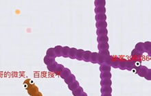 贪吃蛇大作战无尽模式高分视频 生死一瞬间