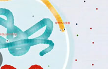贪吃蛇大作战你见过这样的混战吗 混乱中求生