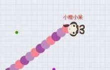 贪吃蛇大作战小蛇怎样才可以击杀大蛇