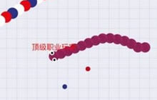 贪吃蛇大作战小蛇如何在乱局中茁壮成长