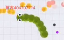 贪吃蛇大作战手气超顺后期击杀42拿白银宝箱