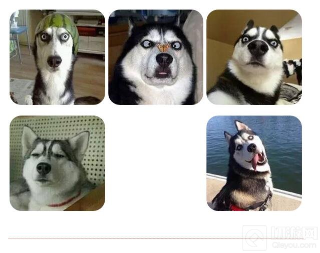 贪吃蛇大作战五黑头像分享 雌雄五煞征战江湖