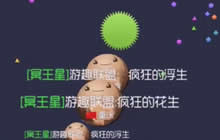 球球大作战浮生满脑子骚操作 结局出乎意料