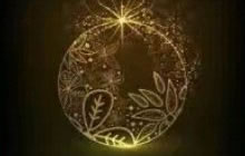 球球大作战6月新皮肤爆料：耀星和三叶草的守护