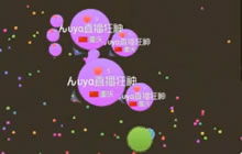 球球大作战前期疯狂压人 最后一路连杀46命