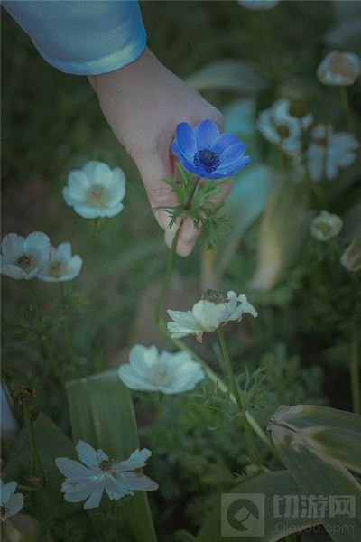 王者荣耀橘右京COS帅气照片 为你献上一朵花