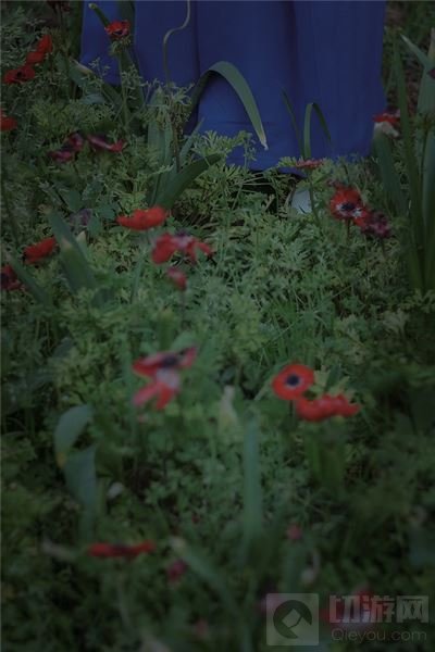 王者荣耀橘右京COS帅气照片 为你献上一朵花