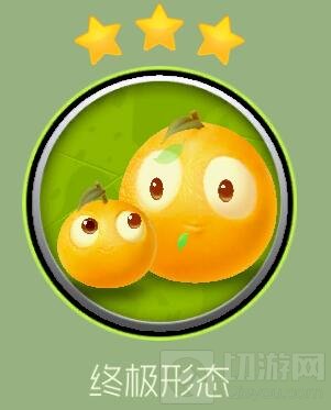 球球大作战桔子宝贝1星到3星合成需要多少碎片