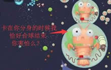 球球大作战卡点是什么意思 卡点教程全分享
