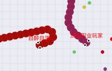 贪吃蛇大作战怎么不死 蛇蛇走位保命技巧盘点