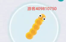 贪吃蛇大作战萌新如何才能在无尽模式获取高分