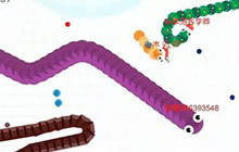 贪吃蛇大作战无尽模式基佬紫霸屏 见证奇迹时刻