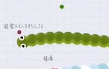 贪吃蛇大作战限时模式 我就盯上你了怼死你