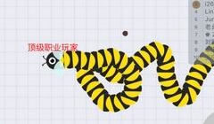 贪吃蛇大作战无尽模式如何杀小蛇 蛇王成长心得
