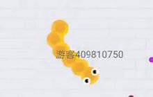 贪吃蛇大作战无尽模式 小菜鸟终于要变成大神