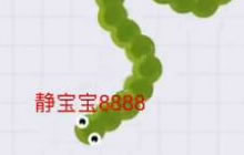 贪吃蛇大作战无尽模式 打造百年难得一见大蛇