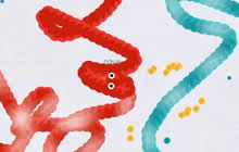 贪吃蛇大作战Z字折回走位怎么使用 操作技巧