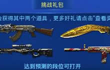 cf手游枪神竞技之路挑战礼包中有什么奖励说明