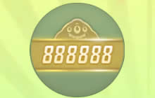 球球大作战贵族靓号是什么意思 靓号意思解读