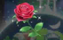 球球大作战玫瑰花礼物多少钱 玫瑰花价格介绍