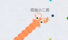 贪吃蛇大作战小龙虾独自闯荡无尽模式一家独大