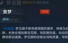 王者荣耀梦见猫是什么定位 体验服新英雄大曝光