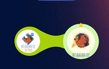 球球大作战机械神龙合成需要多少皮肤碎片揭秘